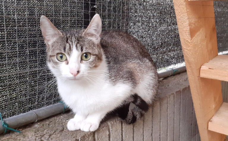 Lire la suite à propos de l’article YERAS